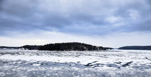 Winter forest in Sweden. nature on the shore of the fjord