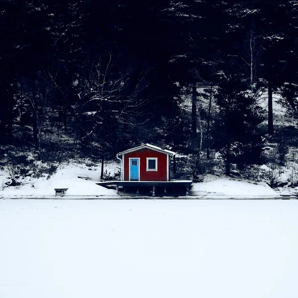 冬のスウェーデンの家 フィヨルドの海岸に自然 — ストック写真