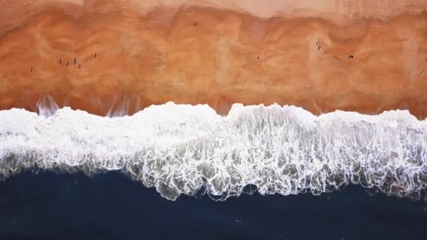 Flying Sandy Beach Waves Break Sandy Beach Atlantic Coast Aerial — Stock Video