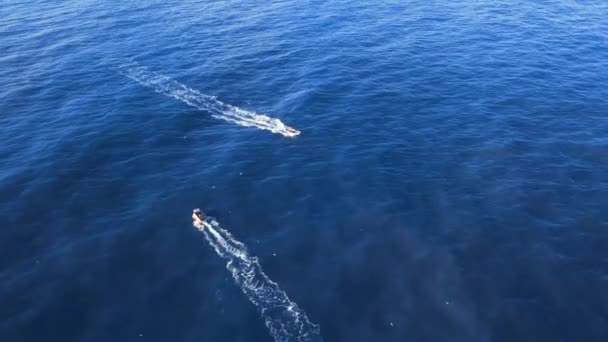 Fiskebåt Havet Flygfoto Över Kustfiske Fiskefartygsbåt Som Flyter Det Blå — Stockvideo