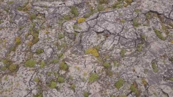 Campos Lava Islandia Vista Superior Desde Dron Vista Aérea Rocas — Vídeos de Stock
