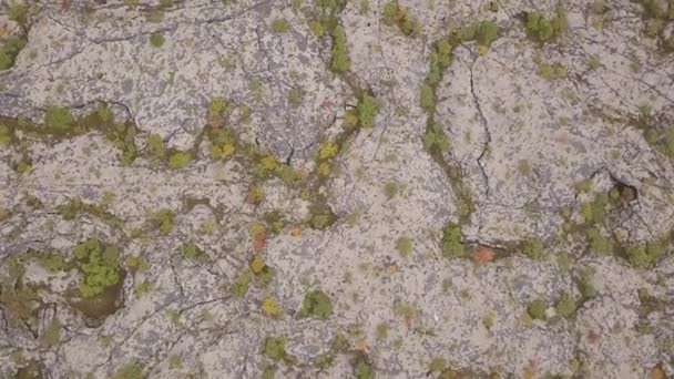 Lava Fields Iceland Top View Drone Aerial View Rocks River — Stock Video