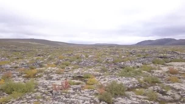 Lava Fields Iceland Felülnézetből Drone Aerial View Sziklák Folyó Erdő — Stock videók