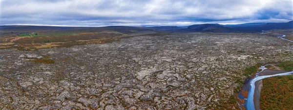 Campo Lava Islândia Coberto Musgo Árvores Anãs Islândia Vista Superior — Fotografia de Stock