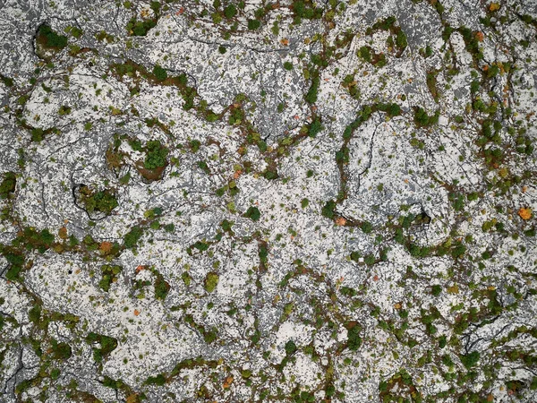 Zlanda Lav Tarlası Yosun Cüce Ağaçlarıyla Kaplı Hava Aracının Sından — Stok fotoğraf