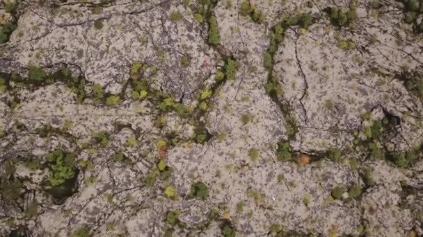 Lava Fields Iceland Felülnézetből Drone Aerial View Sziklák Folyó Erdő — Stock videók