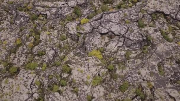 Zlanda Nın Lav Tarlaları Aerial Manzaralı Nın Üst Görüntüsü Kayalar — Stok video