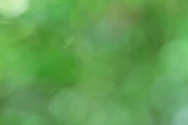 Bulanık yeşil arkaplan, bokeh, güzel doğal dokusu var.