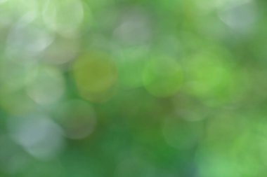 Güzel yeşil bir arka plan. Göz kırpan, egzotik ışıklar ve doğal dokuda ışınlar.