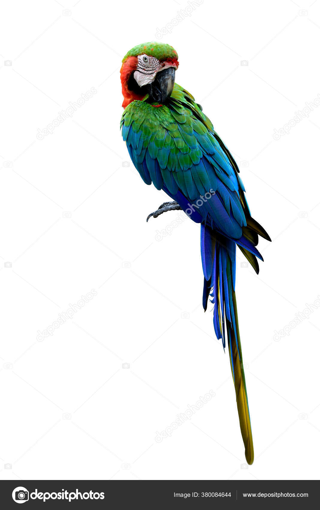 Biglietti d'ingresso al KL Bird Park – Ammira da vicino uccelli colorati, image size:1067x1700