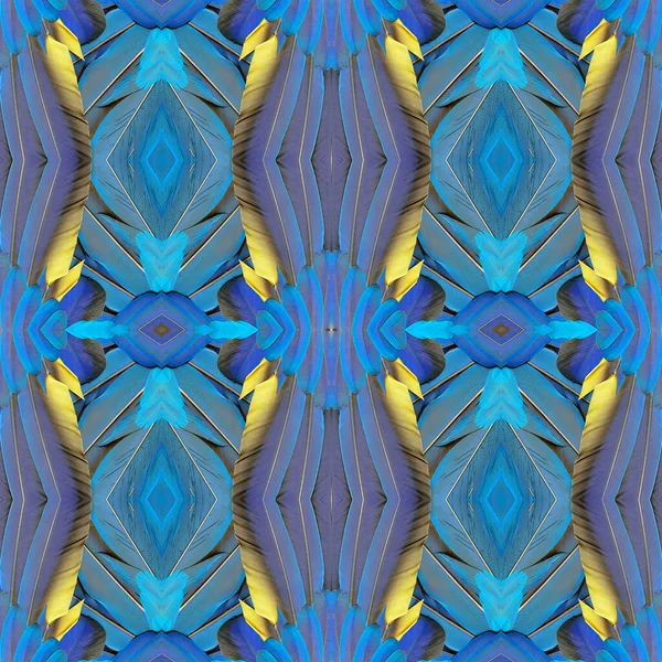 Background Texture Made Blue Gold Macaw Feathers Pattern — Stock Photo, Image