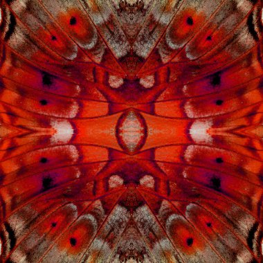 Kelebek kanat deseninden yapılmış Kırmızı Arkaplan desenini kapat