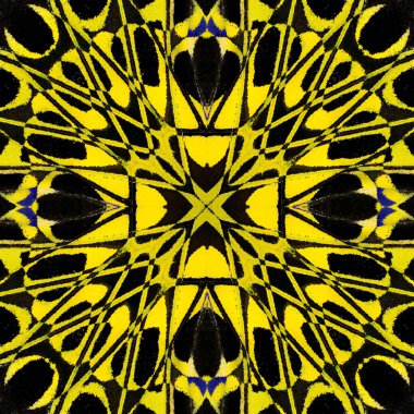 Kelebek kanat deri dokusundan yapılmış renkli sarı ve siyah arkaplan deseni