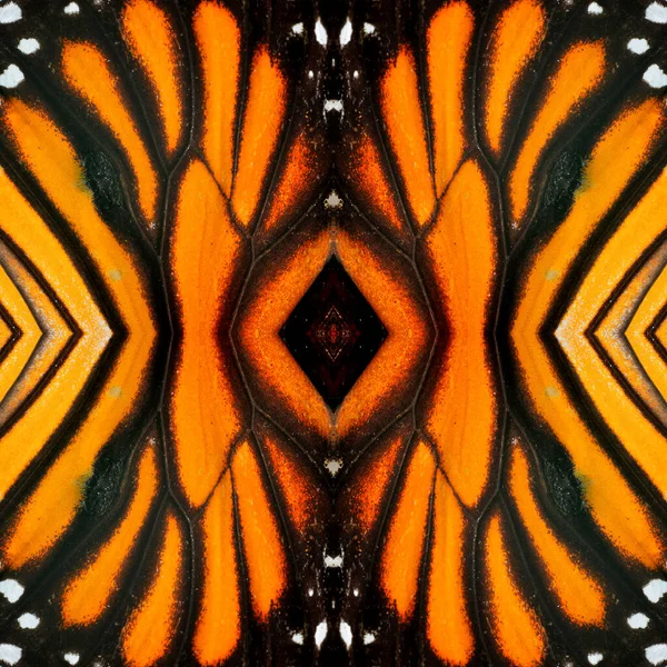 뛰어난 일반적 호랑이 나비의 — 스톡 사진