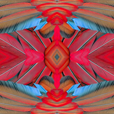 Kırmızı ve Mavi arkaplan dokusu mavi ve altın papağan tüylerinden yapılır