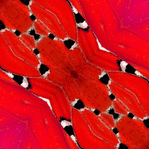 Sayap Kupu Kupu Harimau Biasa Dengan Tekstur Latar Belakang Merah — Stok Foto