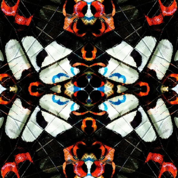 Kırmızı Helen Kelebeği Kanat Derisinden Yapılmış Çok Egzotik Arka Plan — Stok fotoğraf
