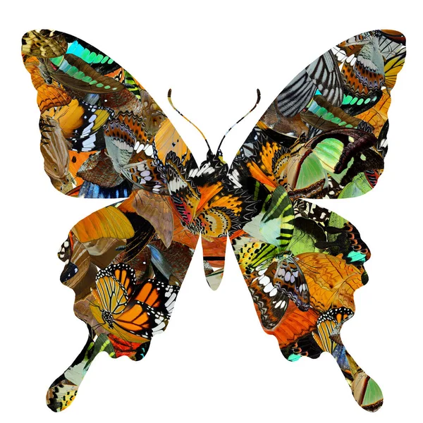 ミックス蝶の芸術は一緒に積み上げ 白い背景にツバメの尾の蝶の形 エキゾチックな蝶の芸術からカット — ストック写真