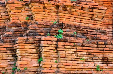 Çatlak alanında büyüyen yeşil bitkilerle, yıkık dökük yapı dokusunda olduğu gibi yaşlanan bir tuğla duvar.