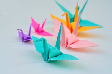 Güzel kompozisyonu olan renkli kuş kağıtları.