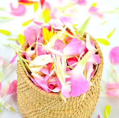 Sepette pembe, sarı, turuncu ve beyaz çiçek yaprakları var.