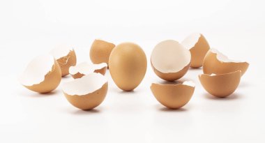 Whire diğer bir yumurta ayağa kırık var 