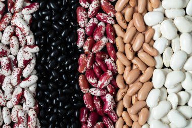 Farklı fasulye safları