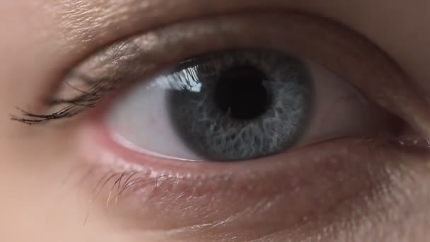 Acercamiento - hasta el gris - ojos azules de una mujer joven sin maquillaje, enfoque selectivo, ojos parpadeantes directamente en la cámara. El concepto de salud ocular y corrección de la visión — Vídeo de stock