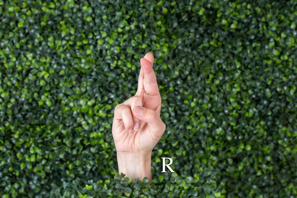 Sign Language Letter R