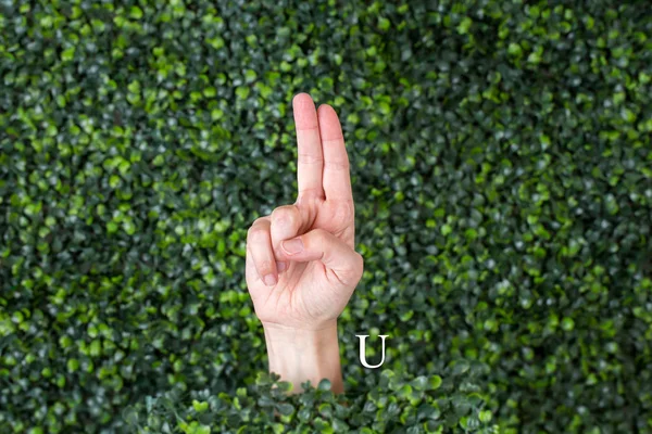 Sign Language Letter U