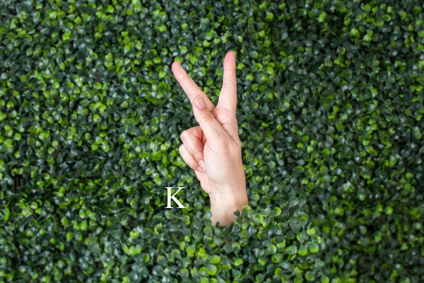 Sign Language Letter K Stock Picture