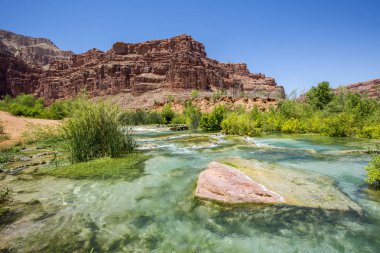 Nehir Havasupai Arizona