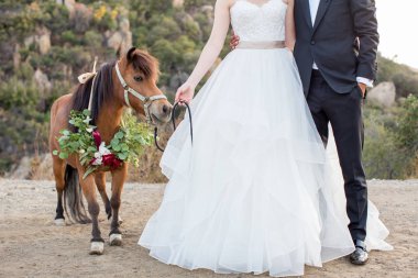 Gelin ve damat mini atı ile