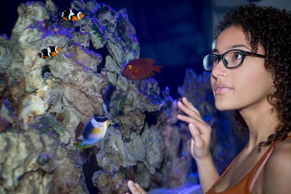 Femme regardant dans un aquarium Photos De Stock Libres De Droits