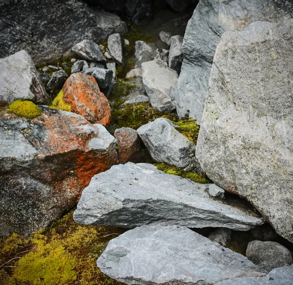 Yeşil ve turuncu renkli yosunlu taşlar. Geçmiş, kartpostal. Doğa konsepti, soyut, kayalar