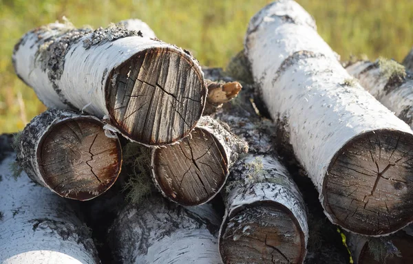 Çimen arka planda kesilmiş odun yığını. Yakacak odun konsepti, kırsal görüntü, güneşli, romantik. Rusya, Sibirya, Altai sıradağları