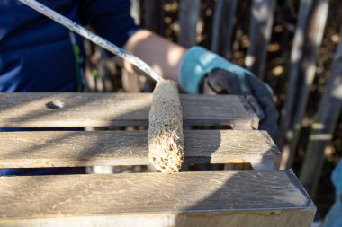 Bir çocuk, bahçesinde fırça olan ahşap bir kutu boyuyor.