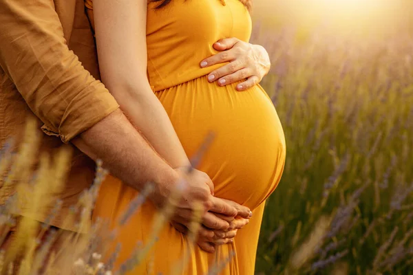 Lavanta tarlalarında aşık bir çift. Birkaç turist. Mutlu anlar..