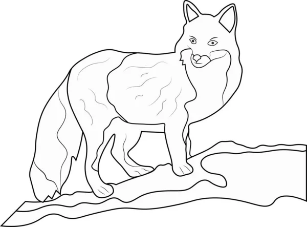 Fox Para Colorear Página Para Niños — Vector de stock