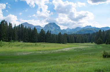 dağ orman manzarası yol ile