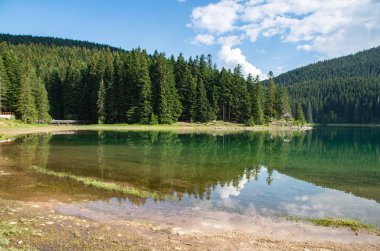 dağ ve orman suya yansıyan