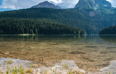 dağ ve orman suya yansıyan