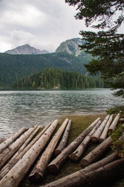 dağ ve orman suya yansıyan