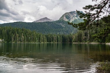 dağ ve orman suya yansıyan