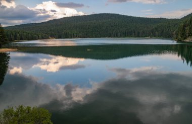 dağ ve orman suya yansıyan