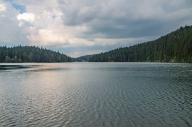 dağ ve orman suya yansıyan