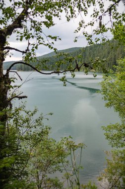 dağ ve orman suya yansıyan