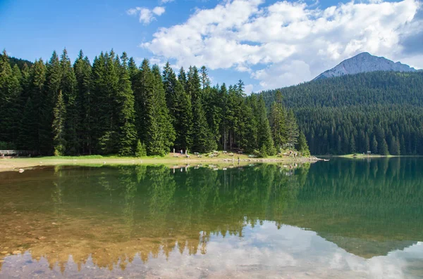Munții Pădurea Reflectate Apă — Fotografie, imagine de stoc