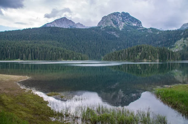 Munții Pădurea Reflectate Apă — Fotografie, imagine de stoc