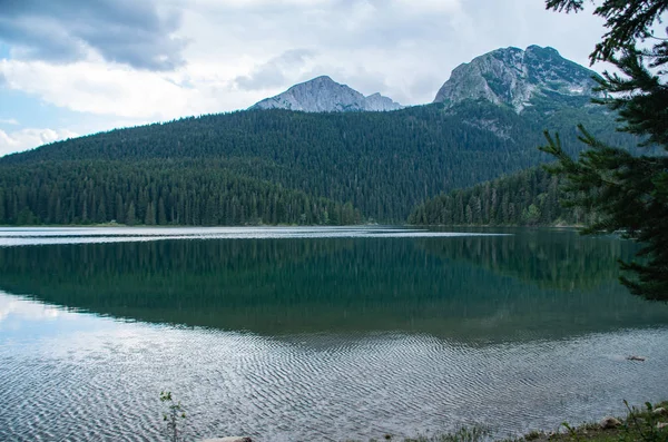 山や森は水に反映 — ストック写真